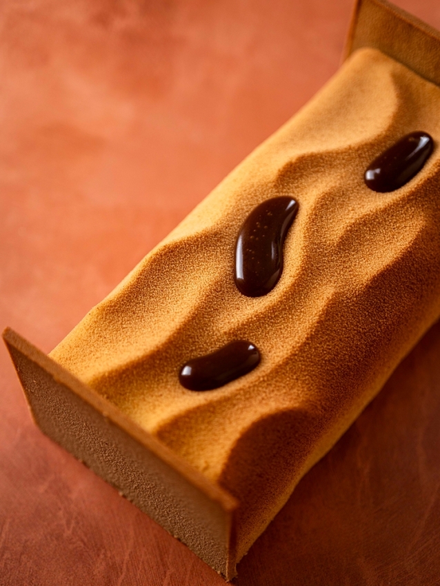 Almond and Mandarin Christmas Log | La Patisserie Cyril Lignac